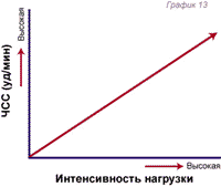 Аэробные нагрузки на беговой дорожке
