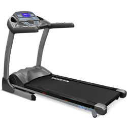 ������� ������� Bronze Gym T800 LC
